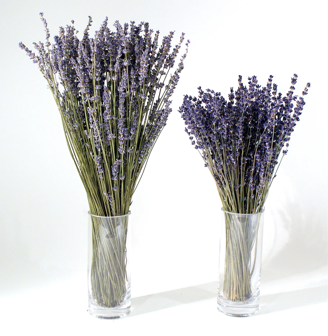 Dried English Lavender Bouquets